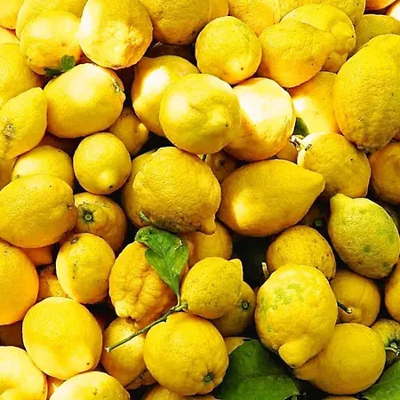 بيت ضيافة Il Giardino Incantato مونتيروسّو ال ماري